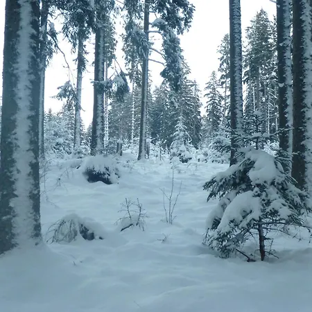 아파트 Gaestehaus Hundelbach *