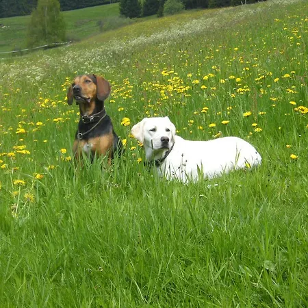 Gaestehaus Hundelbach Apartamento