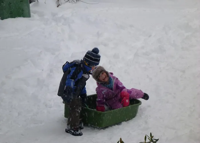 Апартаменты Gaestehaus Hundelbach *