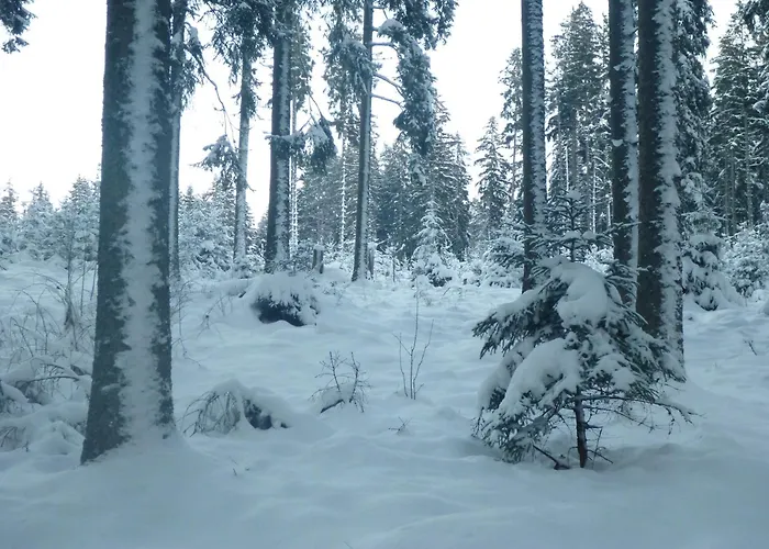 Апартаменты Gaestehaus Hundelbach *