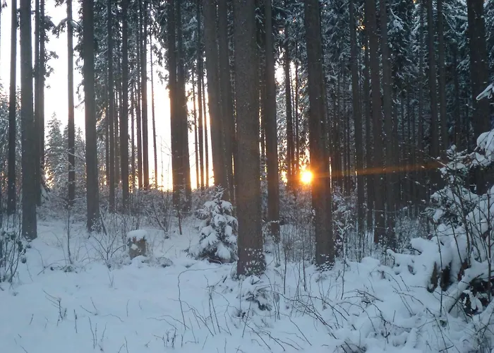 Апартаменты Gaestehaus Hundelbach