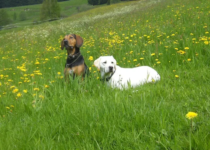 Gaestehaus Hundelbach Апартаменты